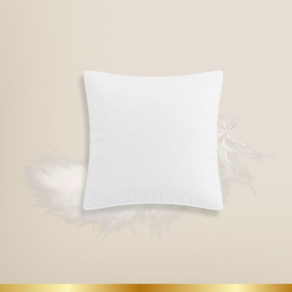 Hanse Excellence Oreiller en duvet d'oie