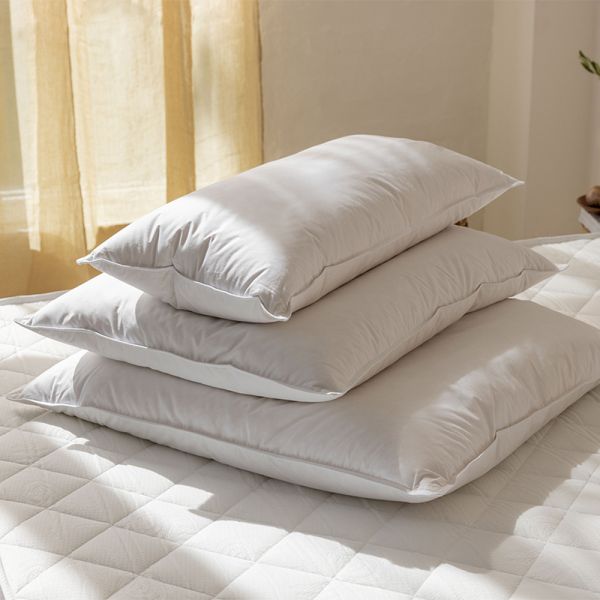 Oreiller sans plumes HANSE SELECT